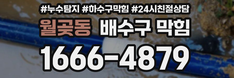 월곶동 배수구 막힘