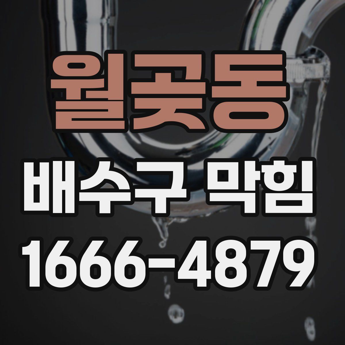 월곶동 배수구 막힘