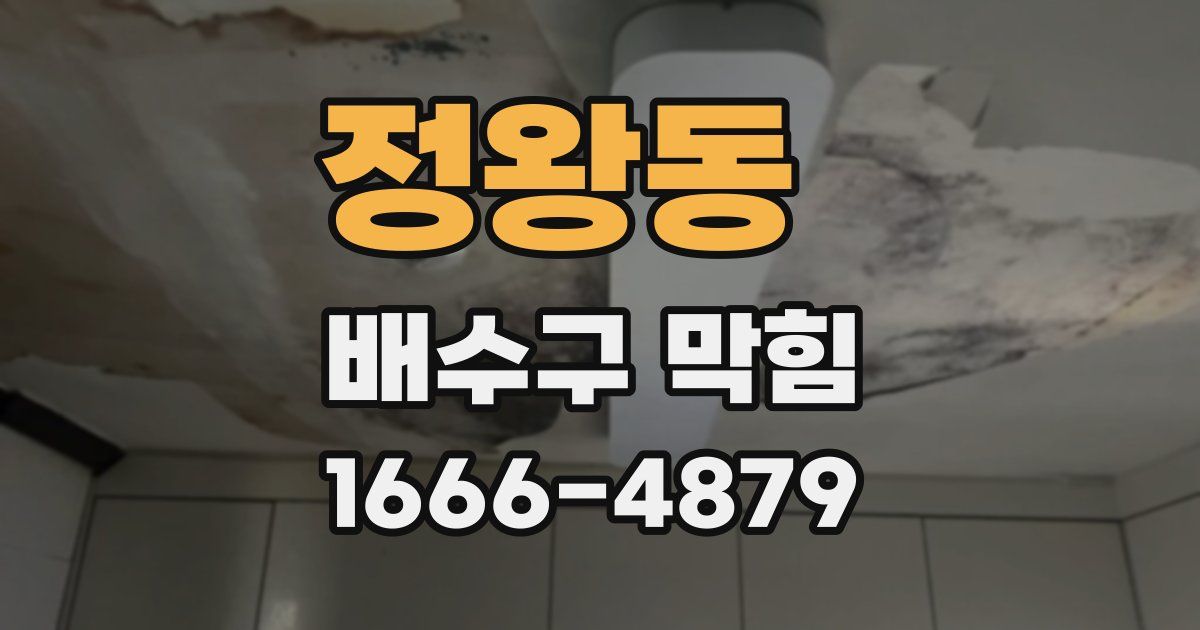정왕동 배수구 막힘