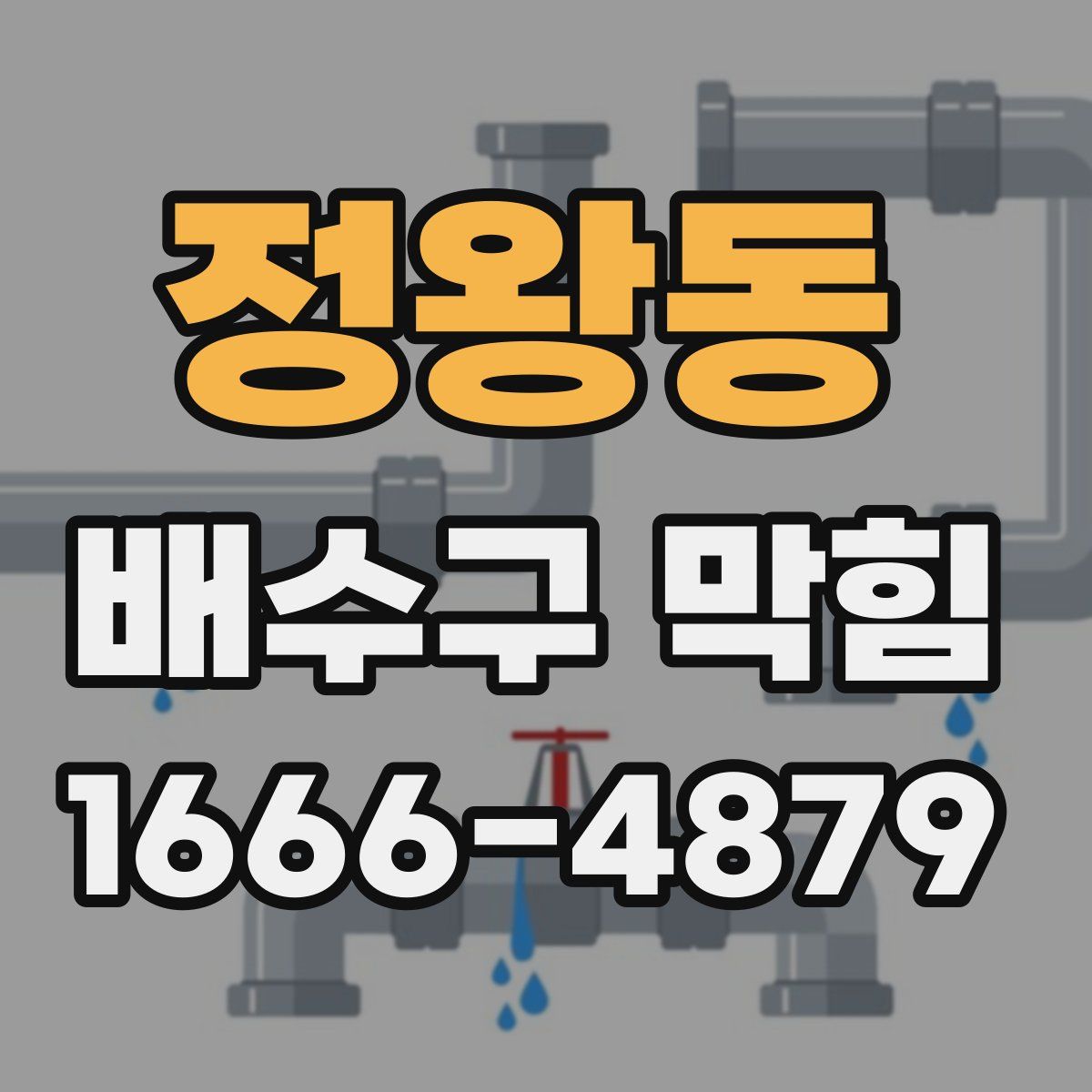정왕동 배수구 막힘