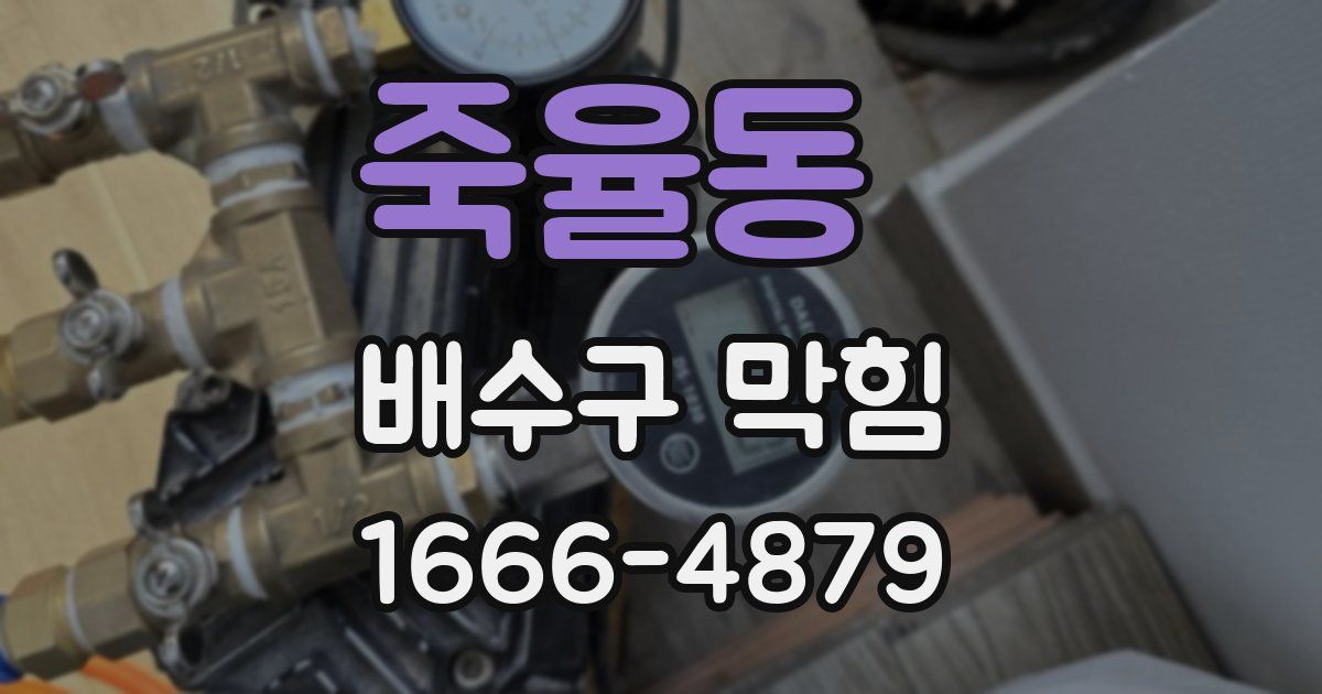 죽율동 배수구 막힘