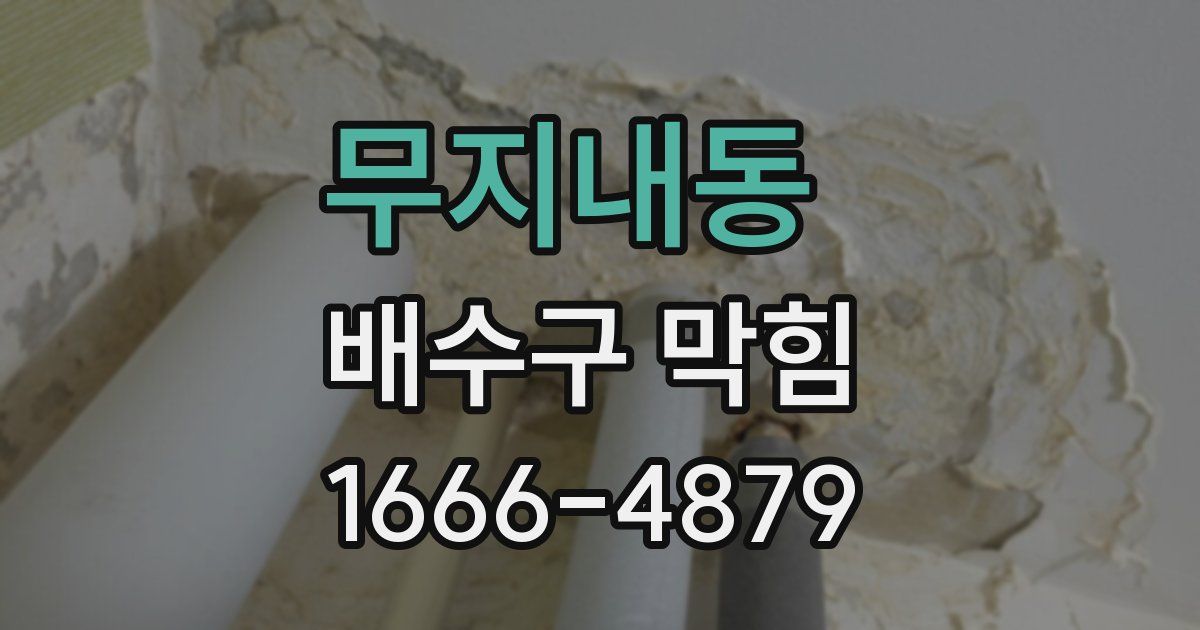 무지내동 배수구 막힘
