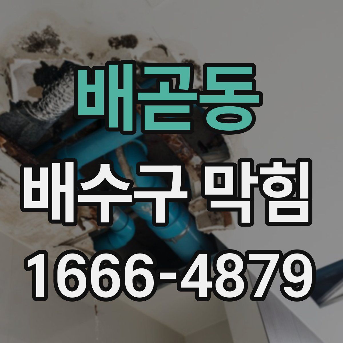 배곧동 배수구 막힘