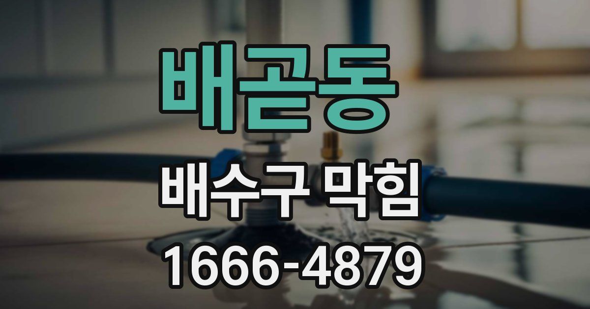 배곧동 배수구 막힘