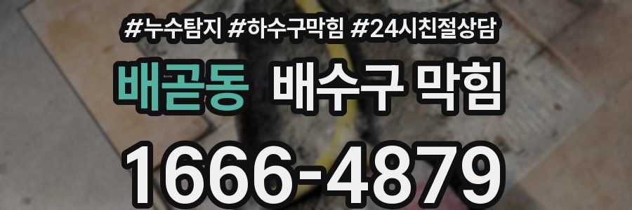 배곧동 배수구 막힘