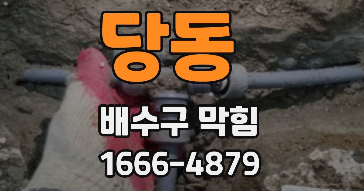 당동 배수구 막힘