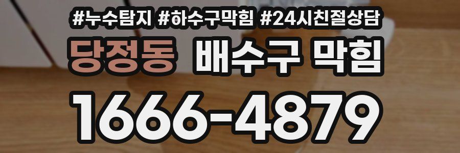 당정동 배수구 막힘