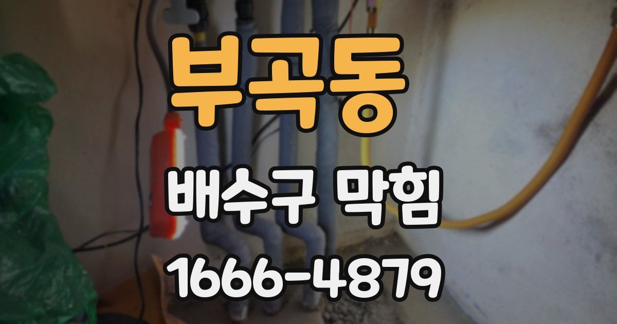 부곡동 배수구 막힘