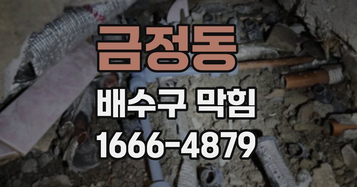 금정동 배수구 막힘