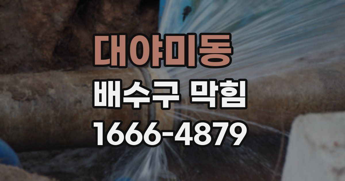 대야미동 배수구 막힘