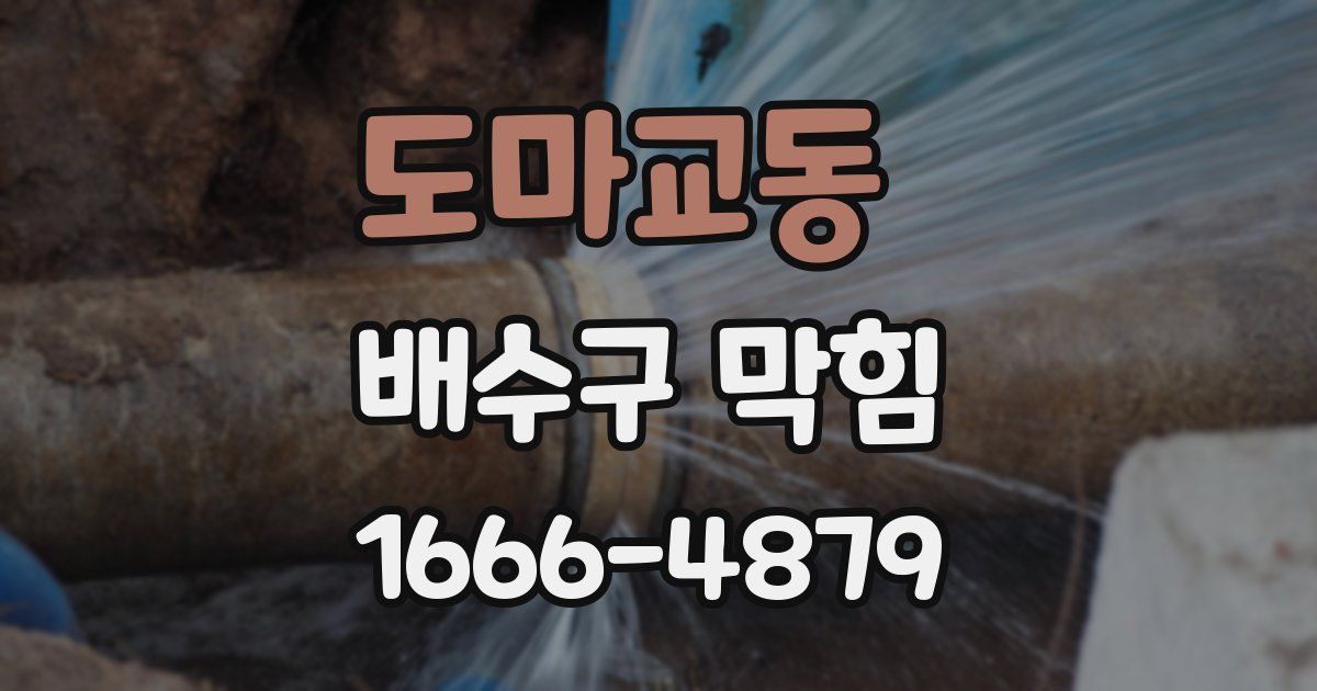 도마교동 배수구 막힘