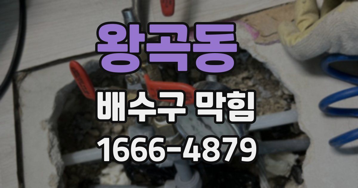 왕곡동 배수구 막힘