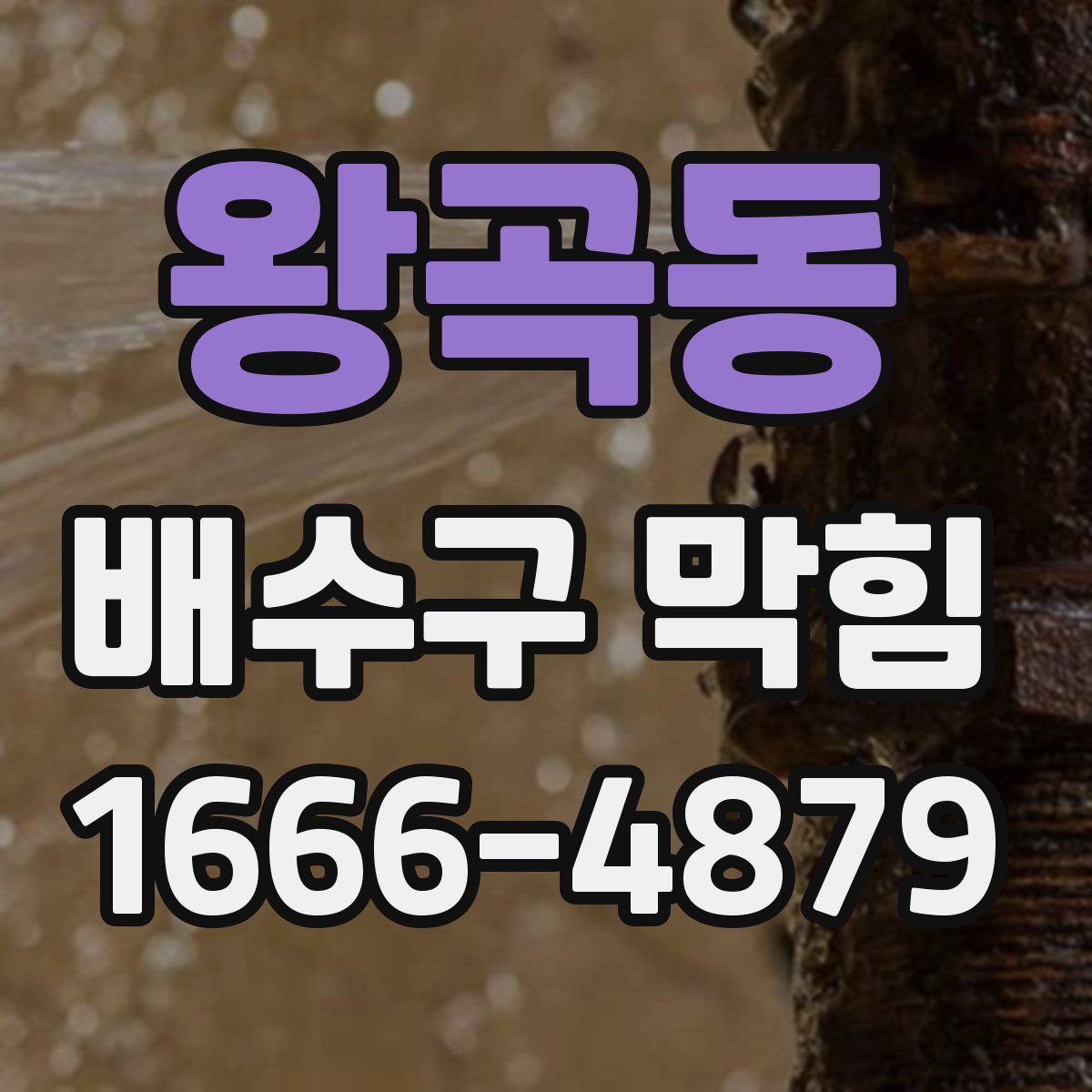 왕곡동 배수구 막힘