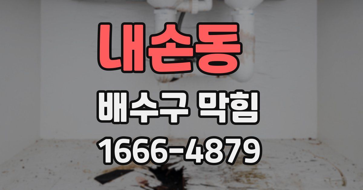 내손동 배수구 막힘