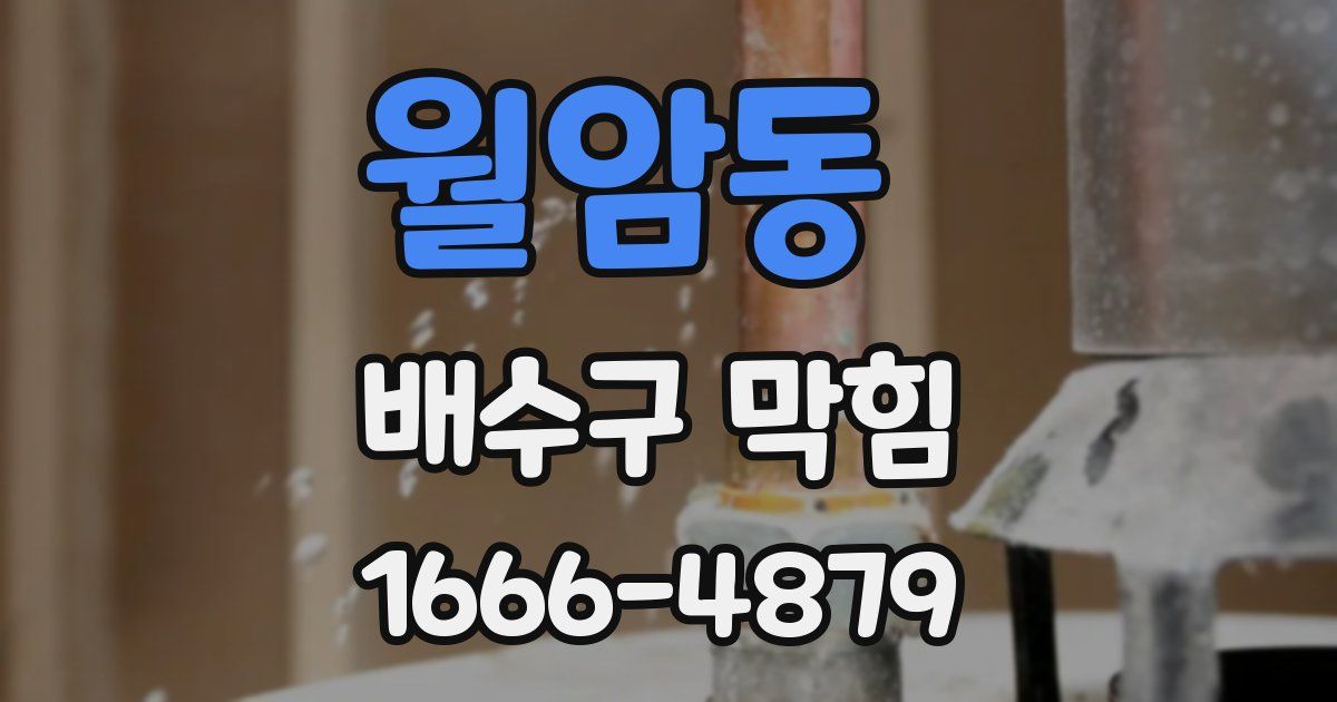 월암동 배수구 막힘