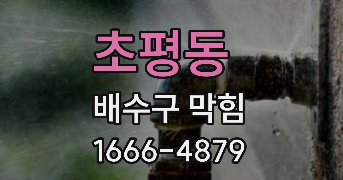 초평동 배수구 막힘