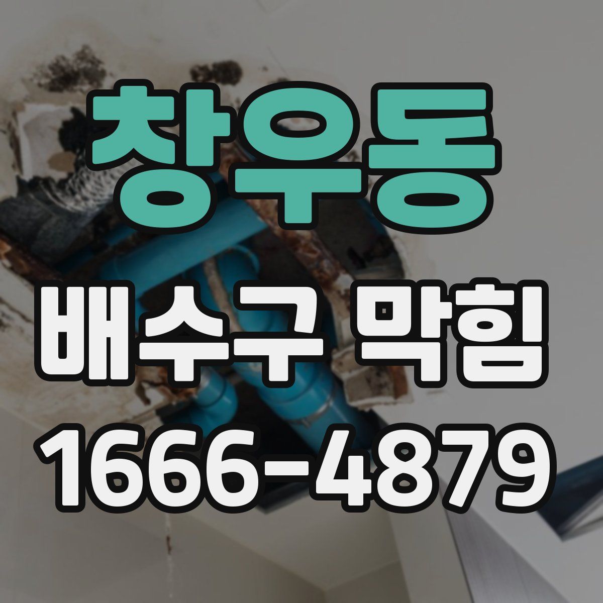창우동 배수구 막힘