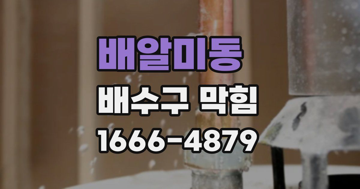 배알미동 배수구 막힘