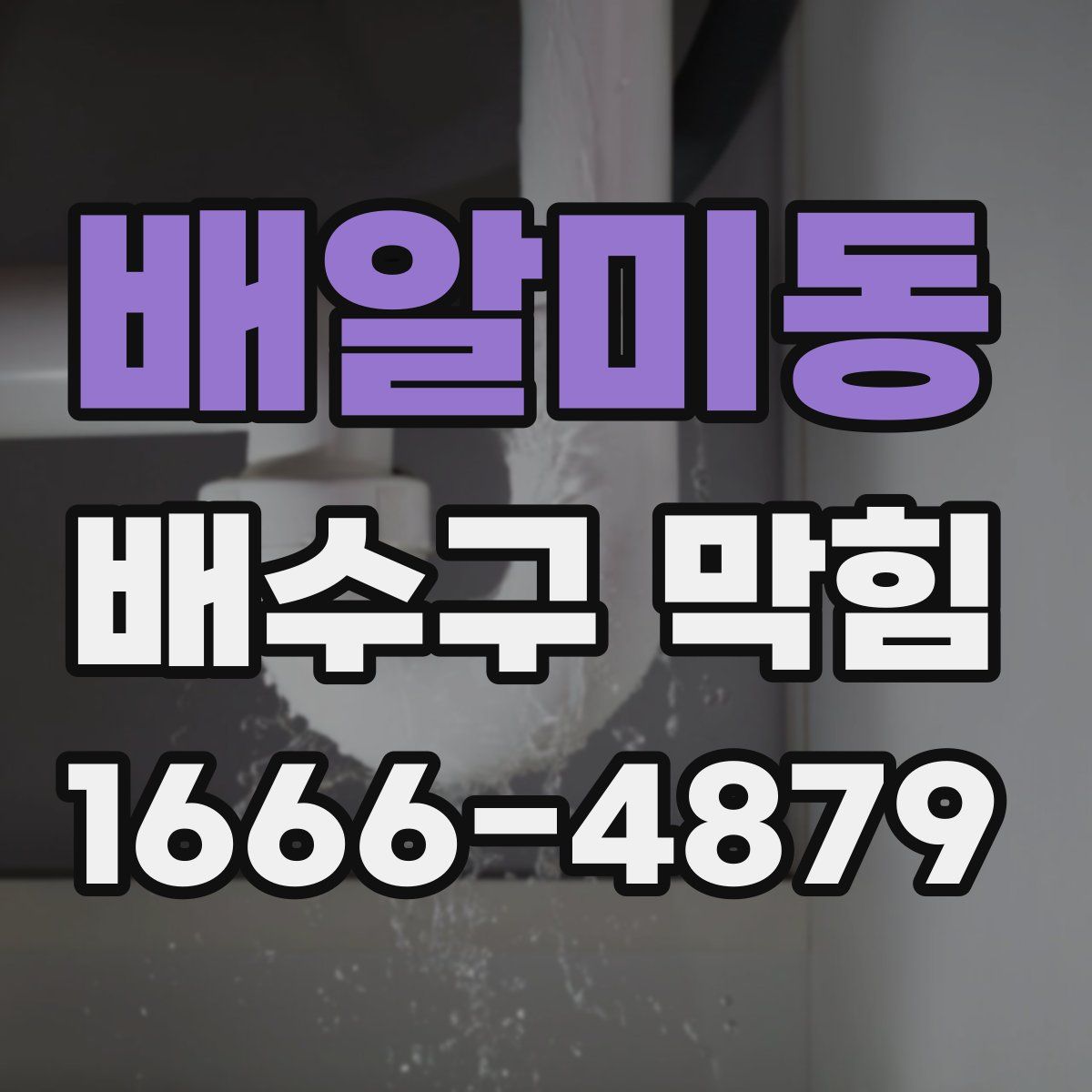 배알미동 배수구 막힘