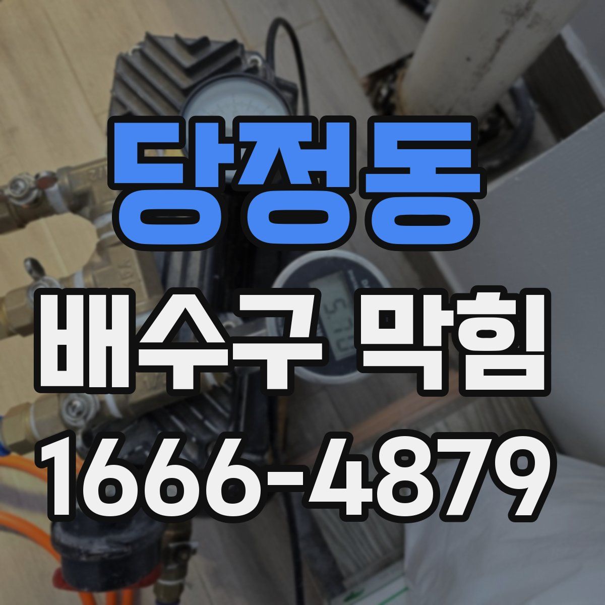 당정동 배수구 막힘