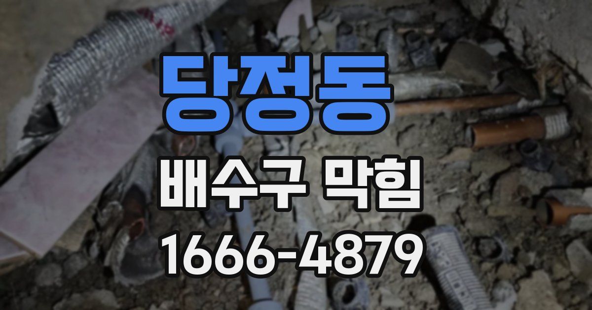 당정동 배수구 막힘