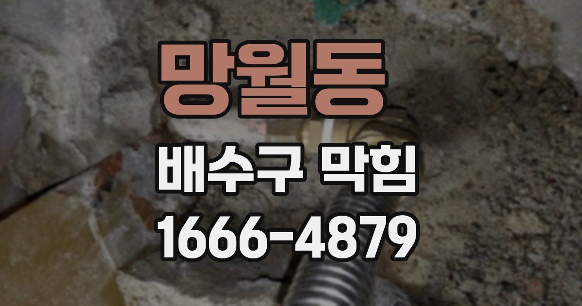 망월동 배수구 막힘