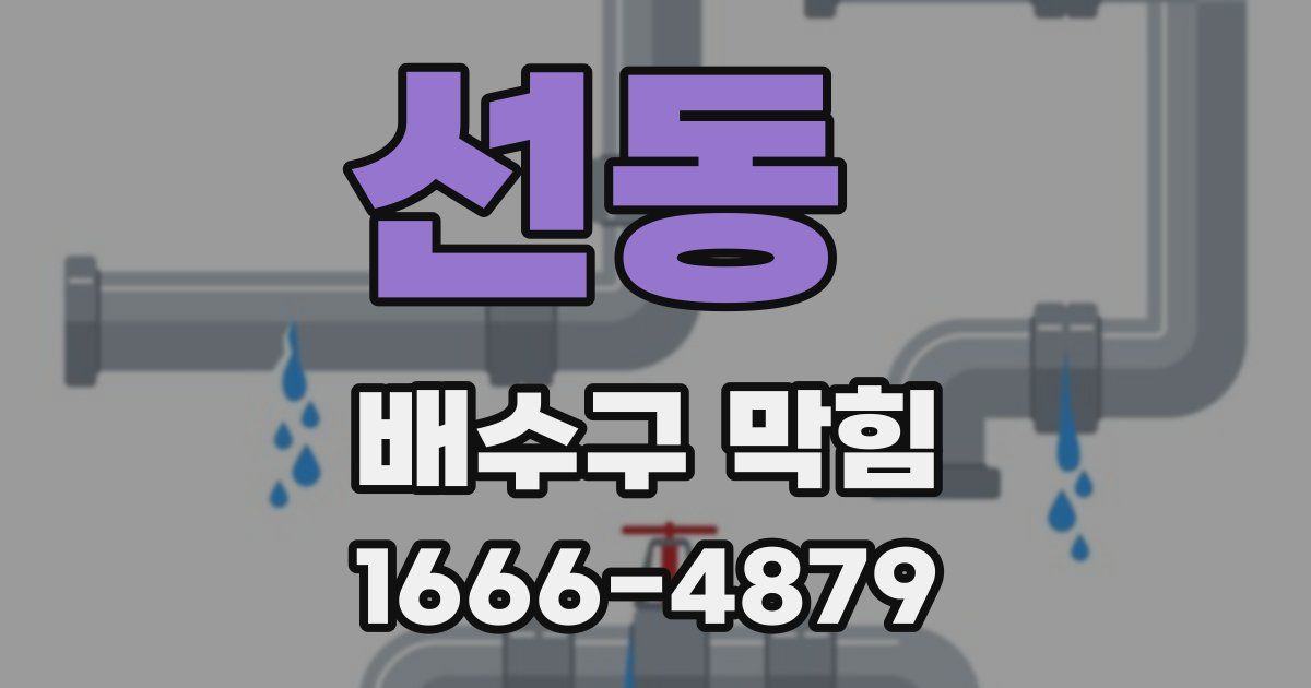 선동 배수구 막힘