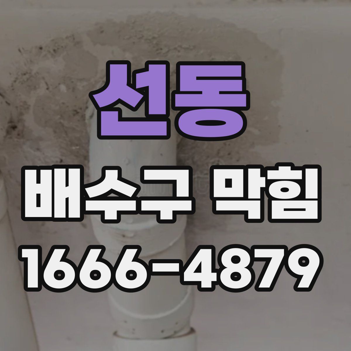 선동 배수구 막힘