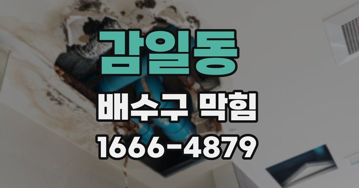 감일동 배수구 막힘