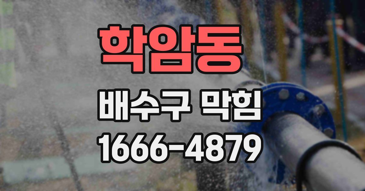 학암동 배수구 막힘