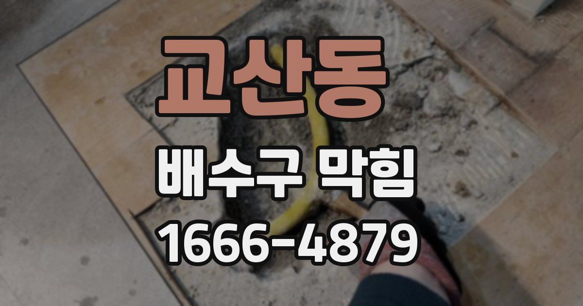 교산동 배수구 막힘
