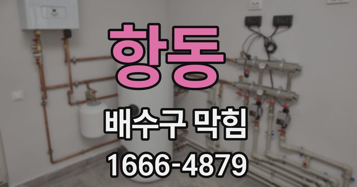 항동 배수구 막힘
