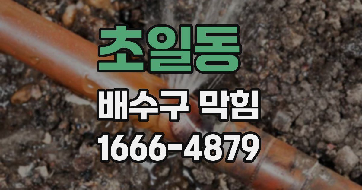 초일동 배수구 막힘