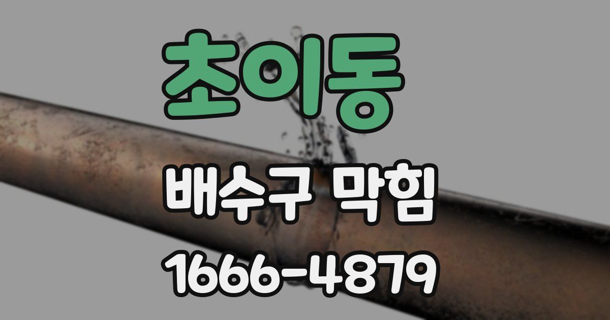 초이동 배수구 막힘
