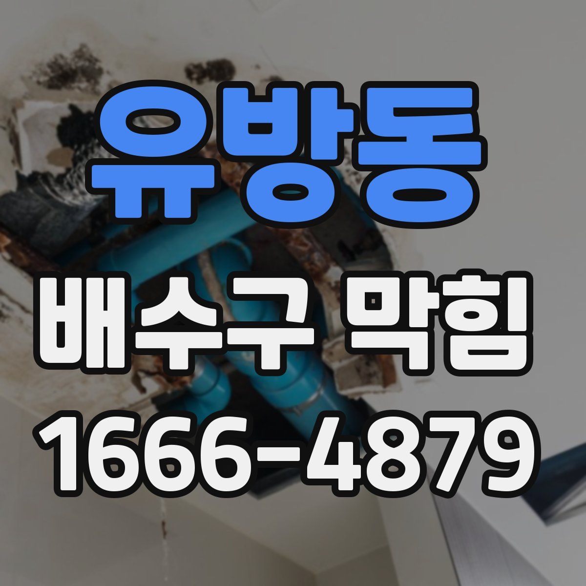 유방동 배수구 막힘