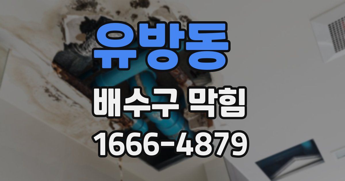 유방동 배수구 막힘