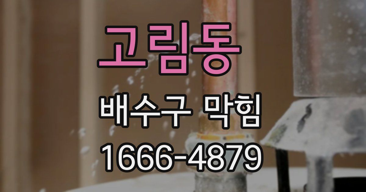 고림동 배수구 막힘