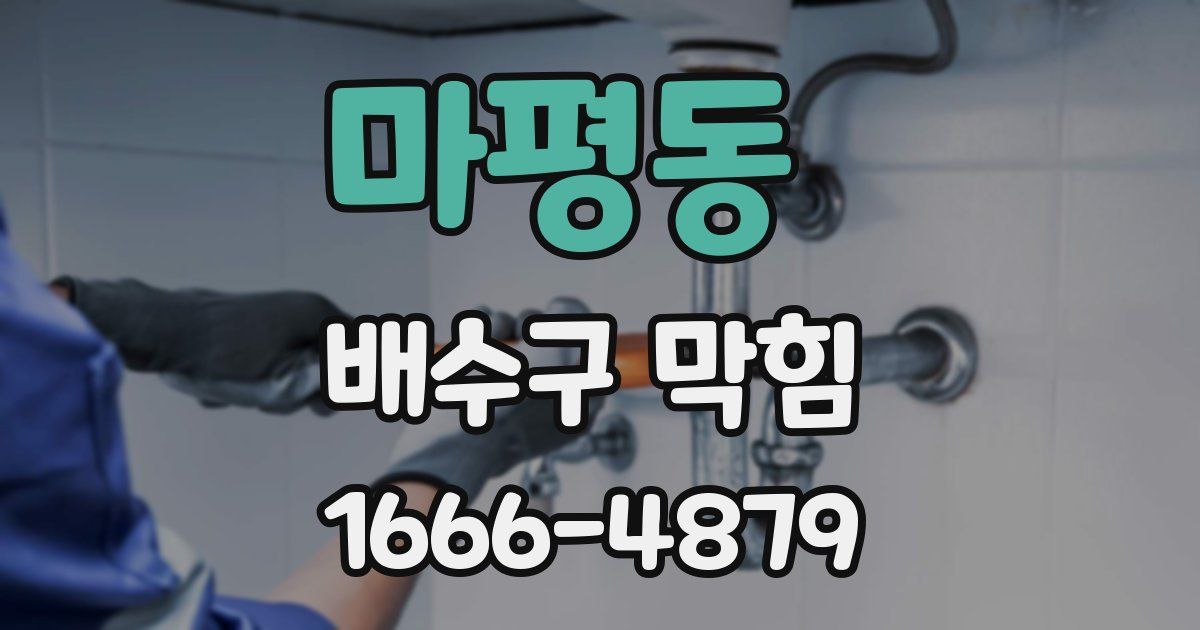 마평동 배수구 막힘