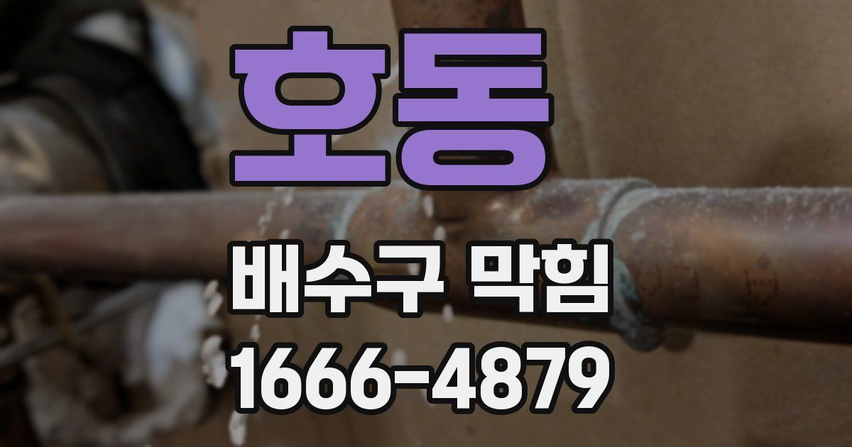 호동 배수구 막힘