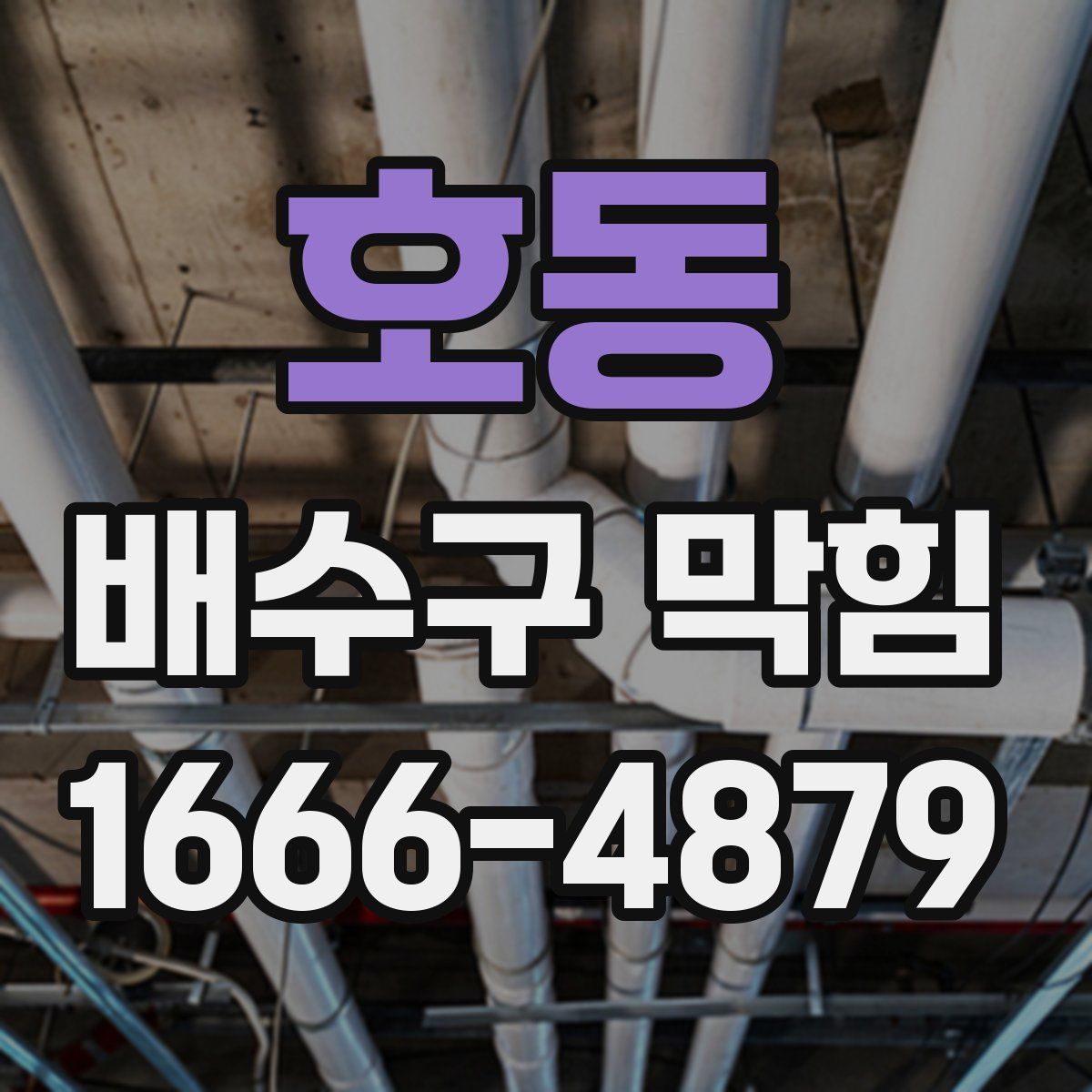 호동 배수구 막힘
