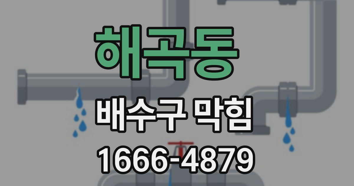 해곡동 배수구 막힘