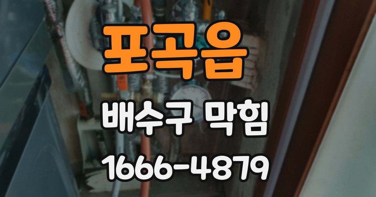 포곡읍 배수구 막힘