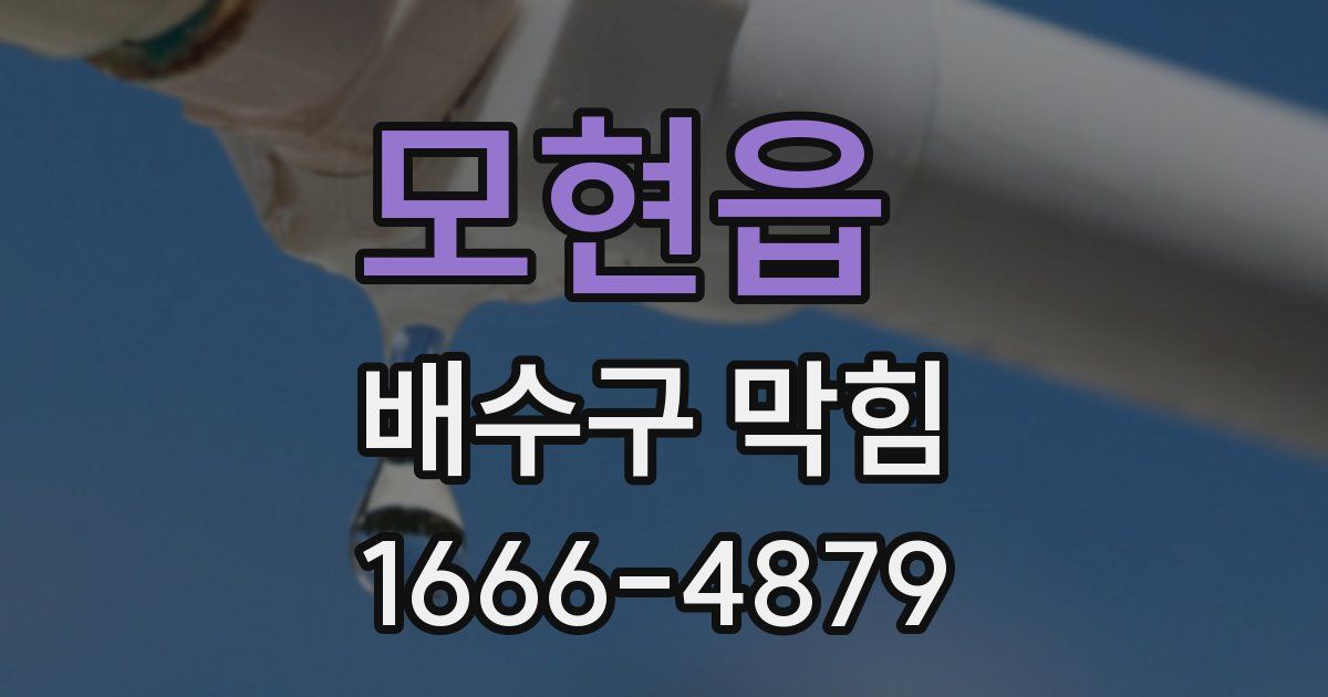 모현읍 배수구 막힘