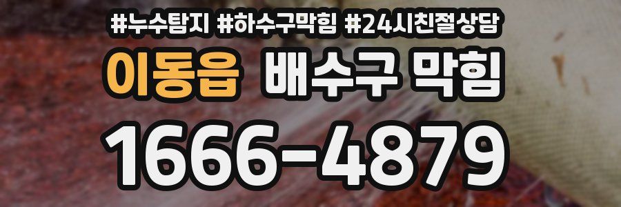이동읍 배수구 막힘