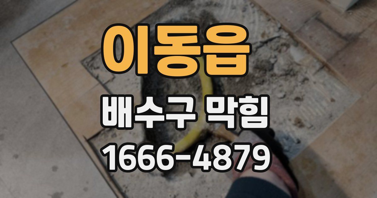 이동읍 배수구 막힘