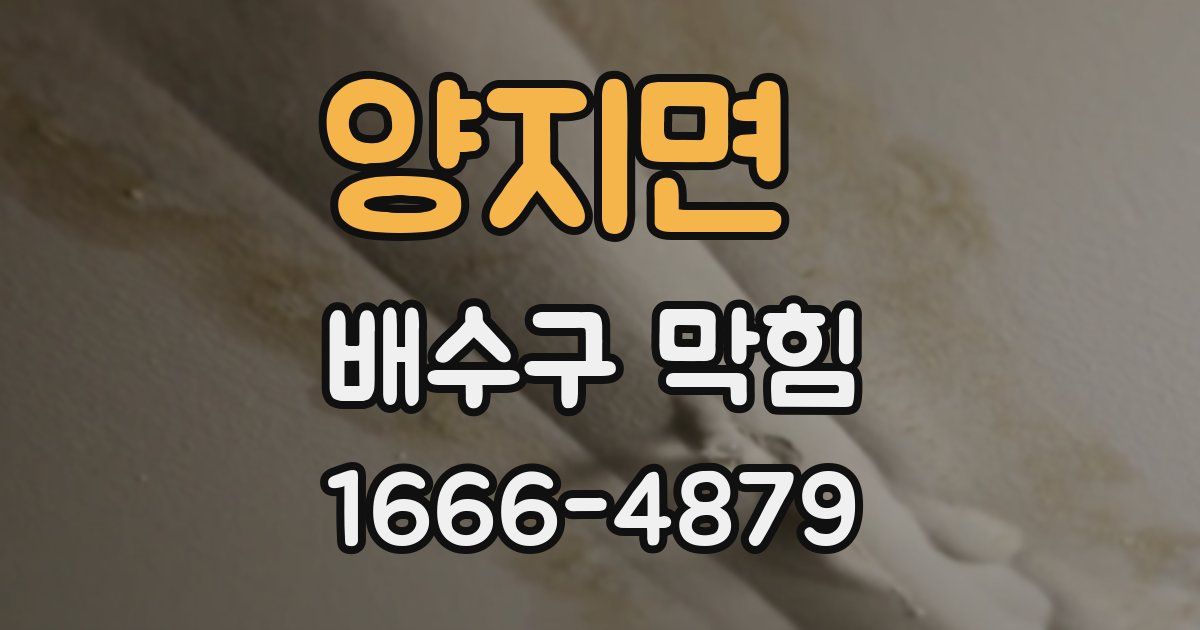 양지면 배수구 막힘