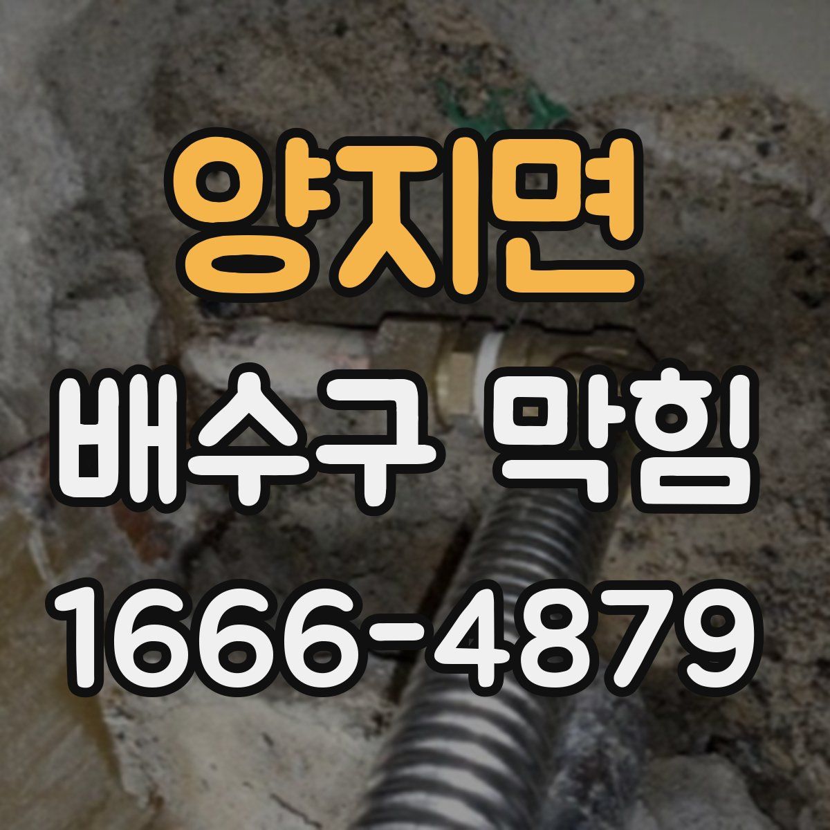 양지면 배수구 막힘