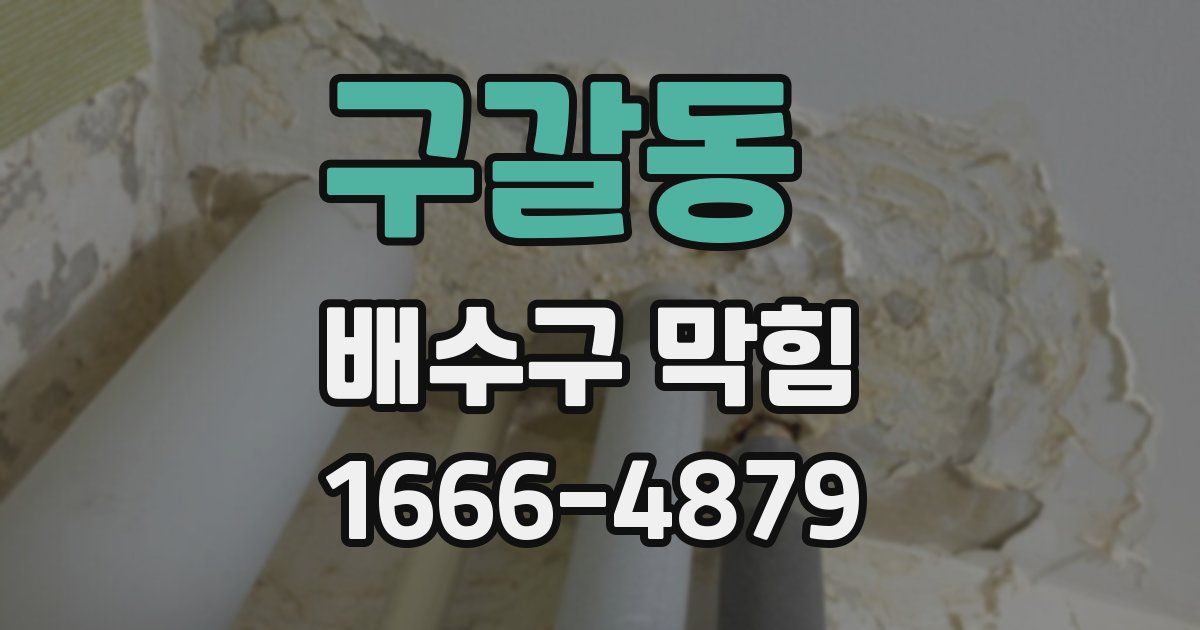 구갈동 배수구 막힘