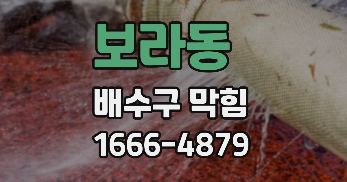 보라동 배수구 막힘