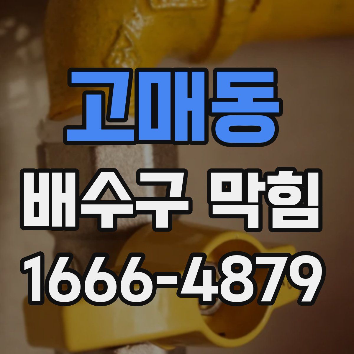 고매동 배수구 막힘
